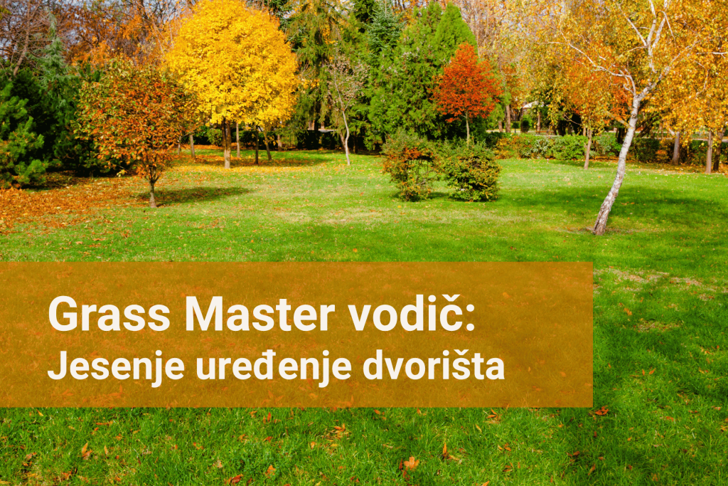 Jesenje uređenje dvorišta, dvorište sa drvećem u jesen